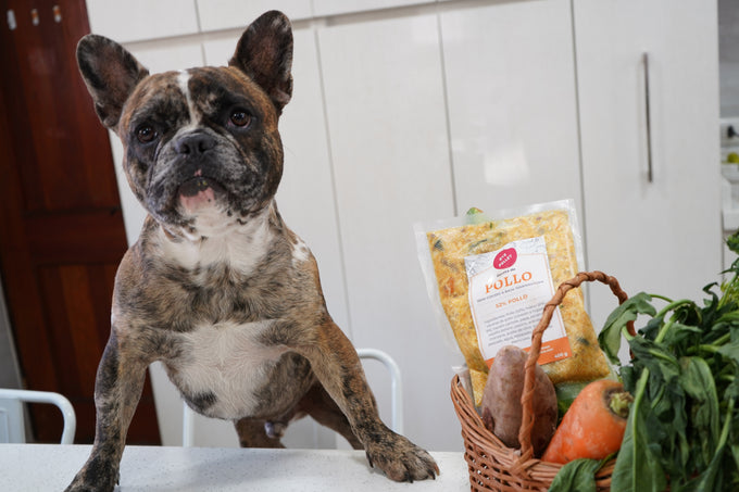 Comida real para tu mascota